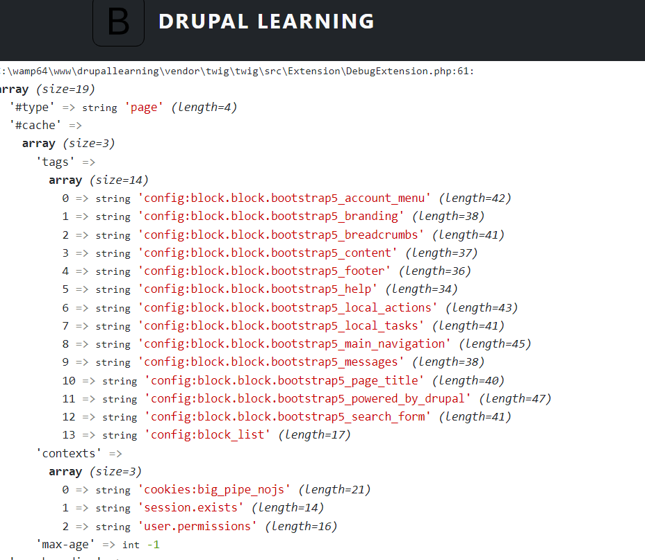 Drupal 9 Debugging Techniques: All You Need to Know