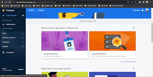 enabling the email-password authentication feature