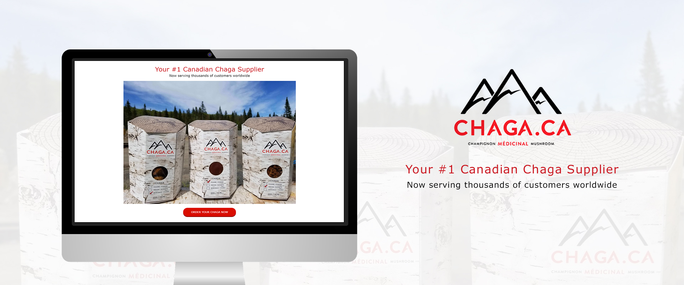 Chaga-banner