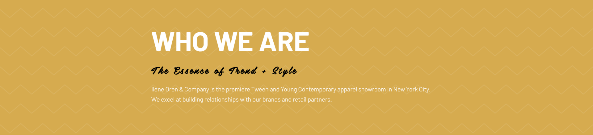 Ilene Oren _ Co image 1