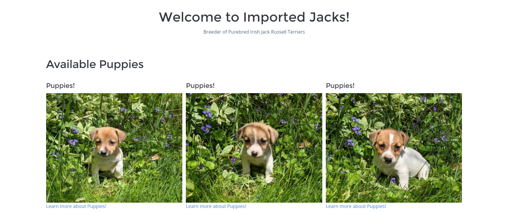 Imported jacks - Image 1