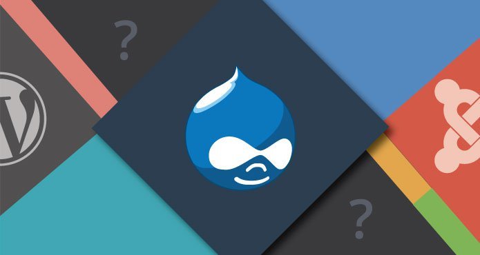 Why You Should Choose Drupal CMS Over Others