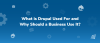 Blue background with "What is Drupal Used For and Why Should a Business Use It?" text, surrounded by Drupal icons.